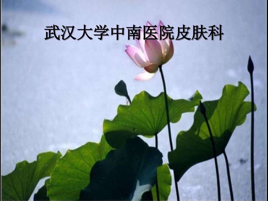 念珠菌病课件_第1页