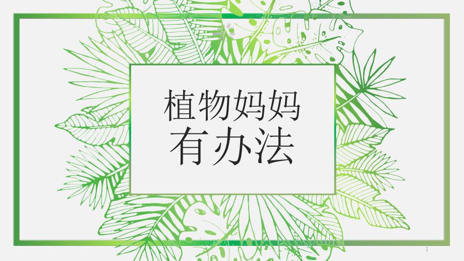 植物妈妈有办法公开课ppt课件模板_第1页