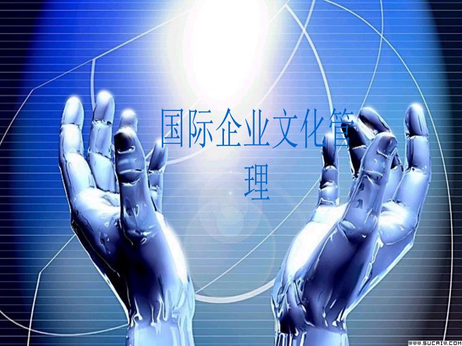 十国际企业文化管理_第1页