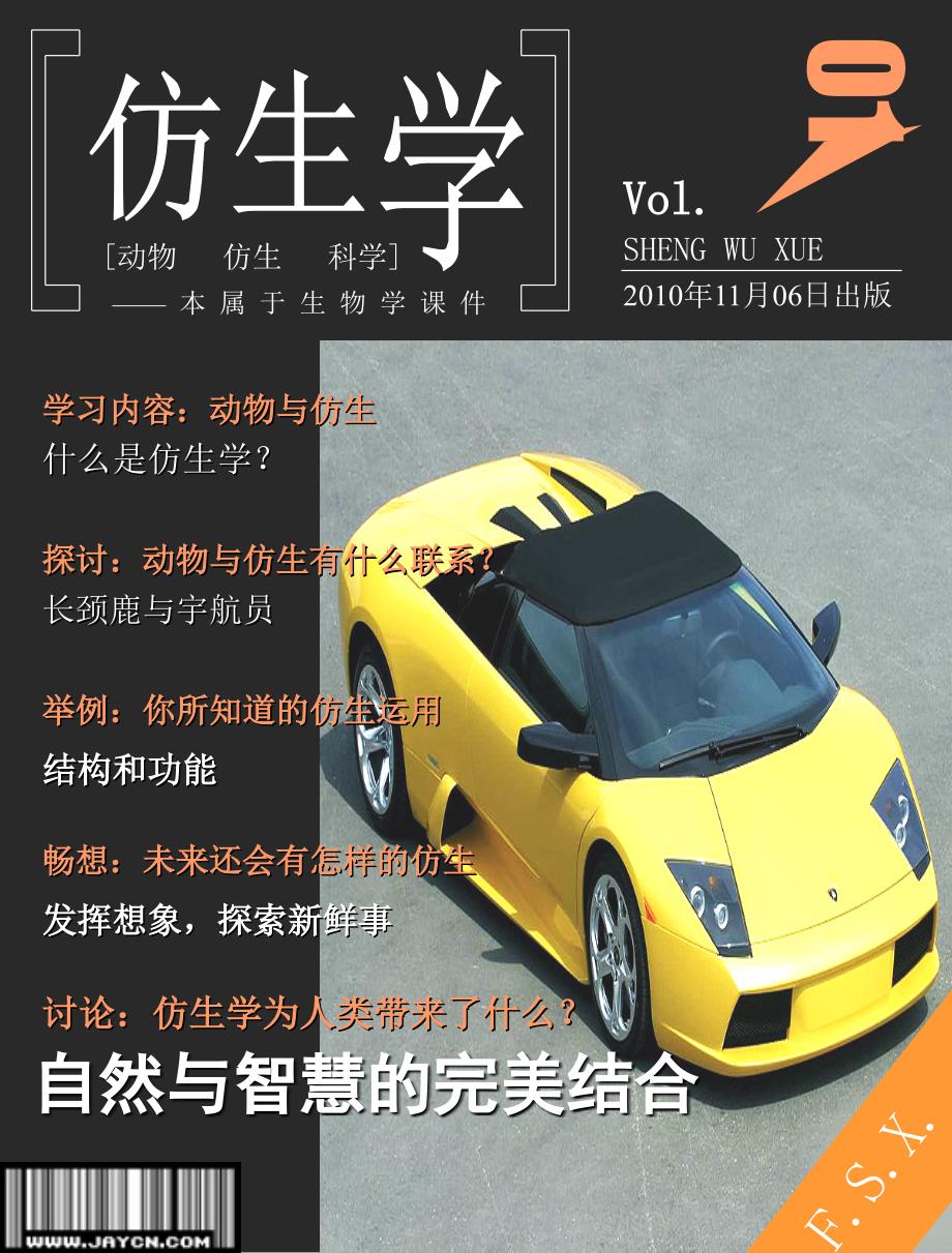 动物与仿生(精)课件_第1页