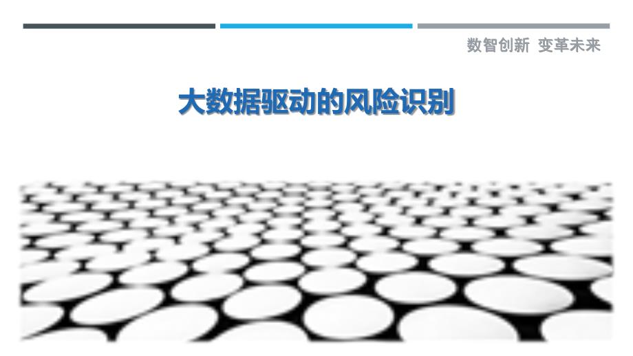 大数据驱动的风险识别-洞察剖析_第1页