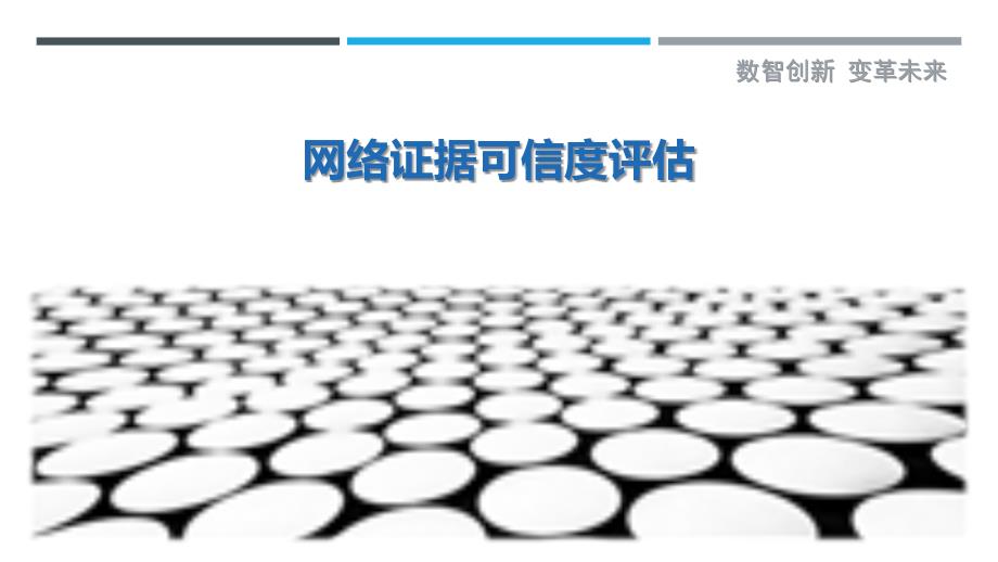 网络证据可信度评估-洞察剖析_第1页