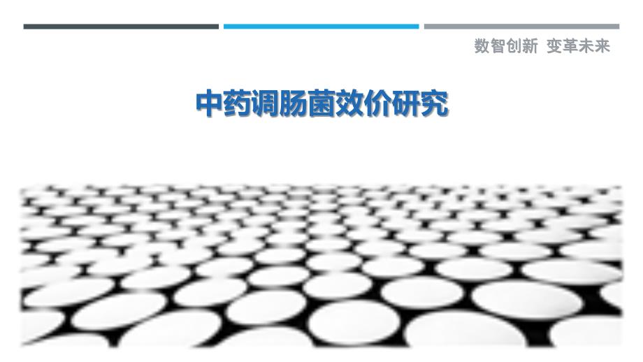 中药调肠菌效价研究-洞察剖析_第1页