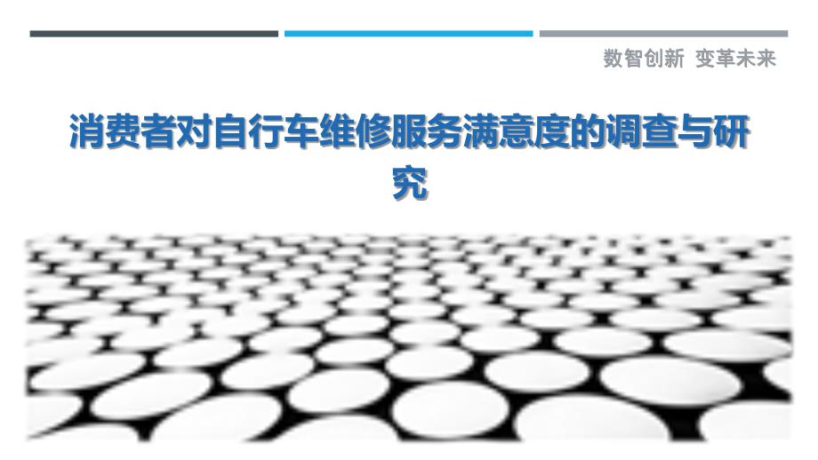 消费者对自行车维修服务满意度的调查与研究-洞察剖析_第1页