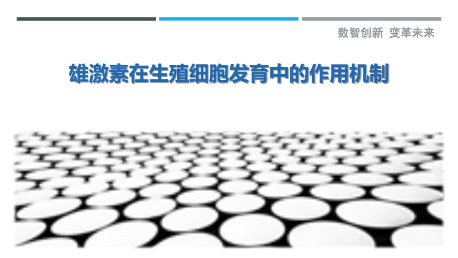雄激素在生殖细胞发育中的作用机制-洞察剖析_第1页
