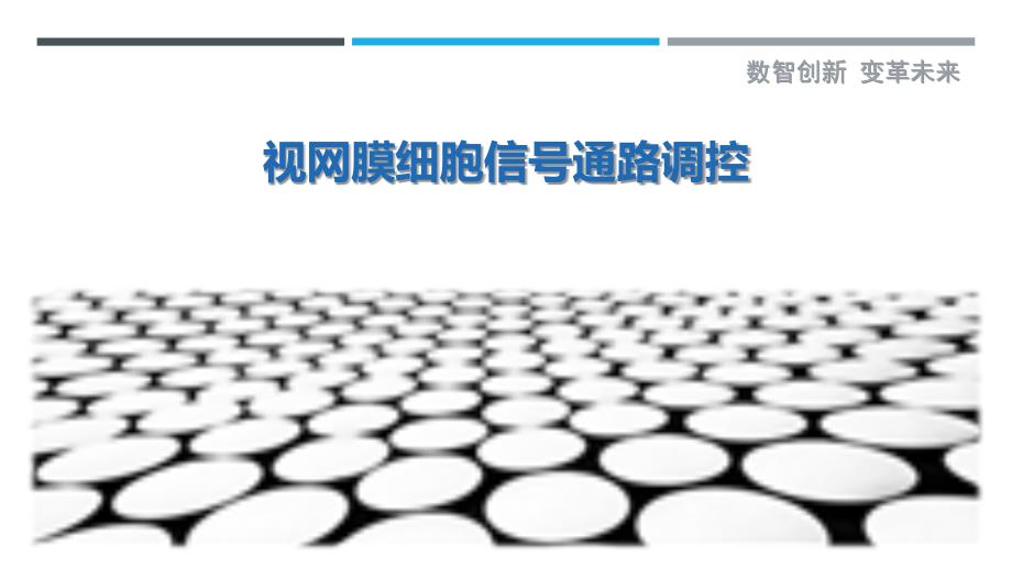 视网膜细胞信号通路调控-洞察剖析_第1页