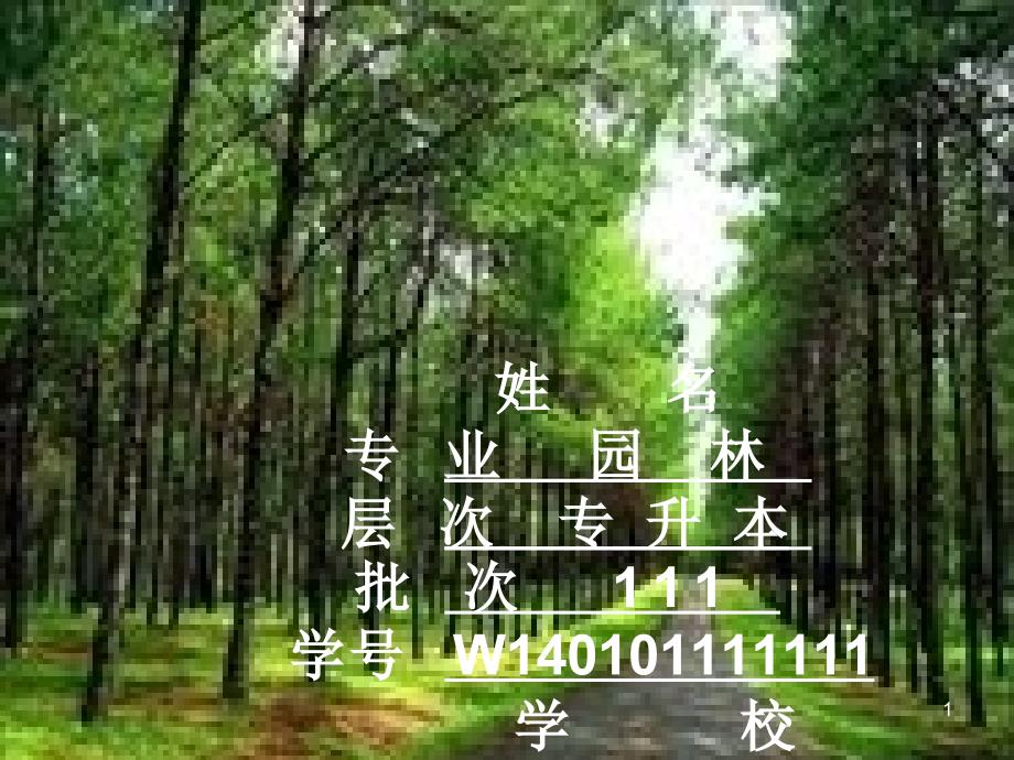 演示文稿1.ppt2_第1页