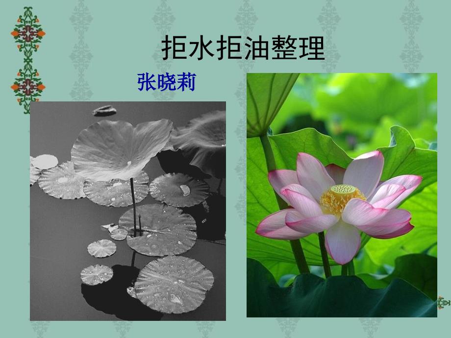 《拒水拒油整理》PPT课件_第1页