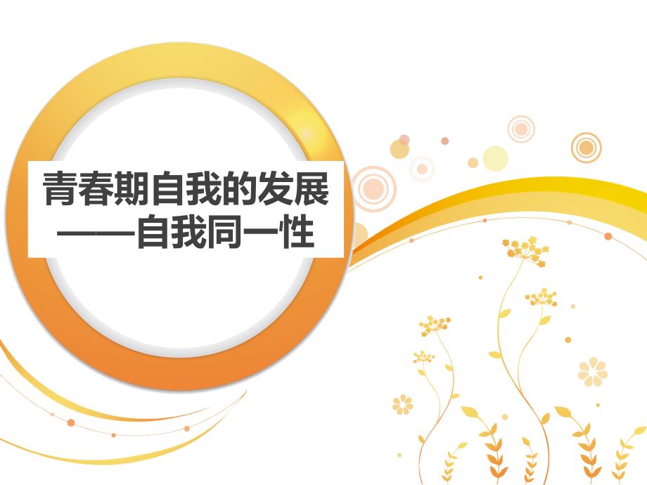 自我认同感和发展ppt课件_第1页