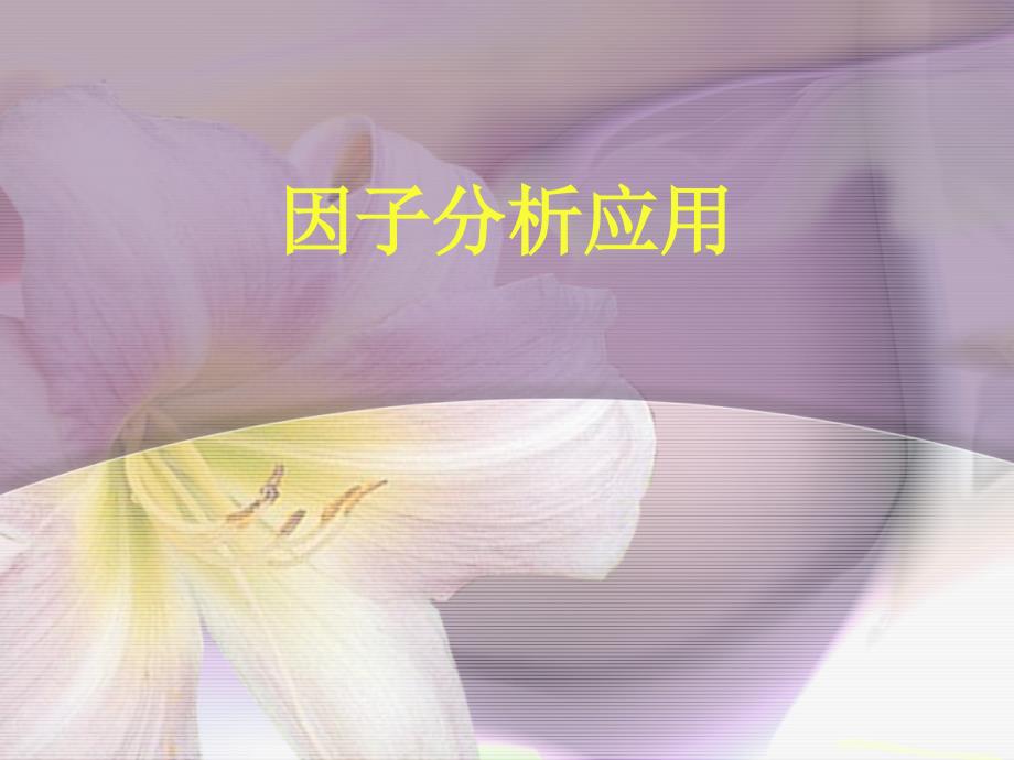 因子分析应用_第1页