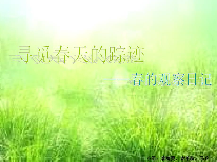 《寻觅春的足迹马玲》PPT课件_第1页