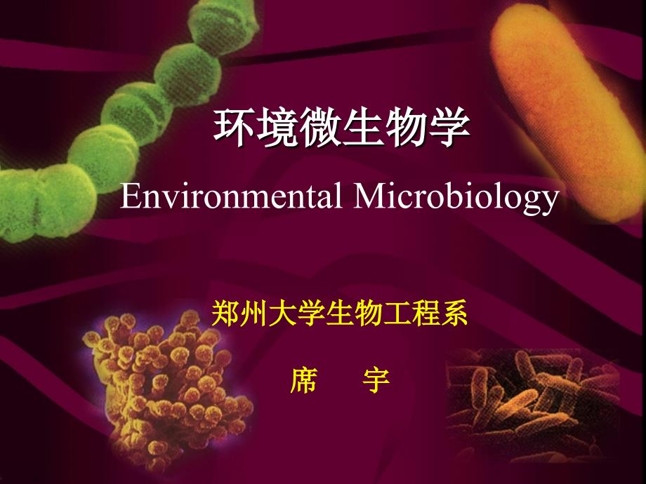 环境微生物学讲义4汇总ppt课件_第1页