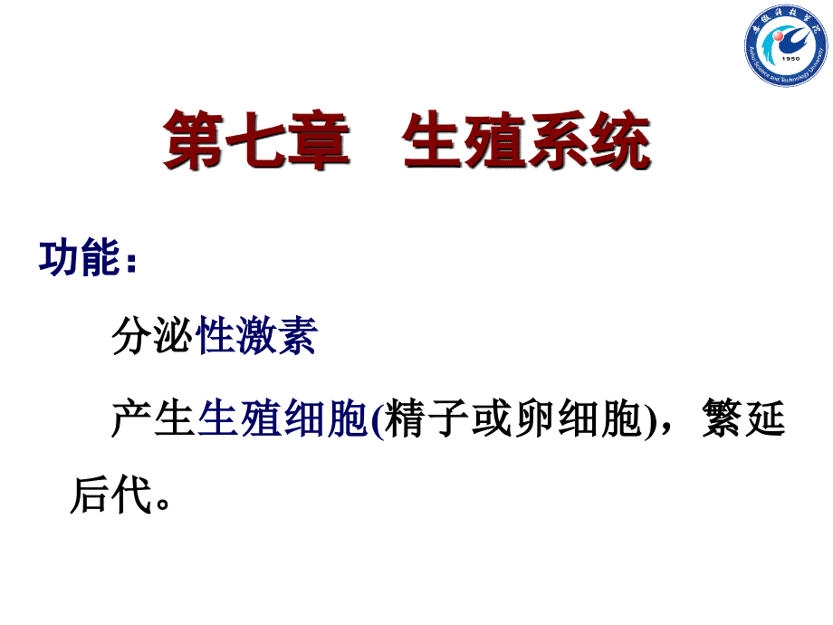 第七章-生殖系统_第1页