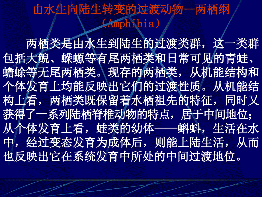 由水生向陆生转变的过渡动物两栖纲Amhibia_第1页