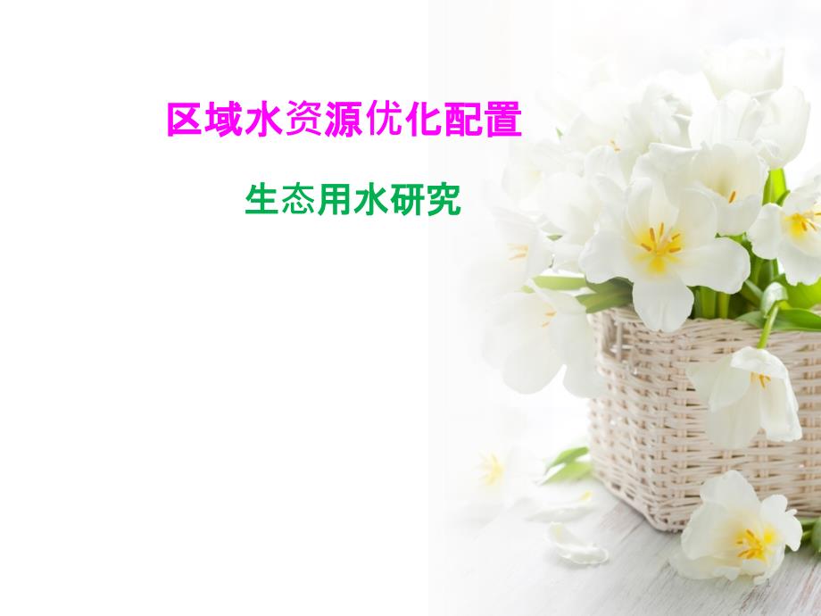 水资源优化配置——生态用水研究-PPT课件_第1页