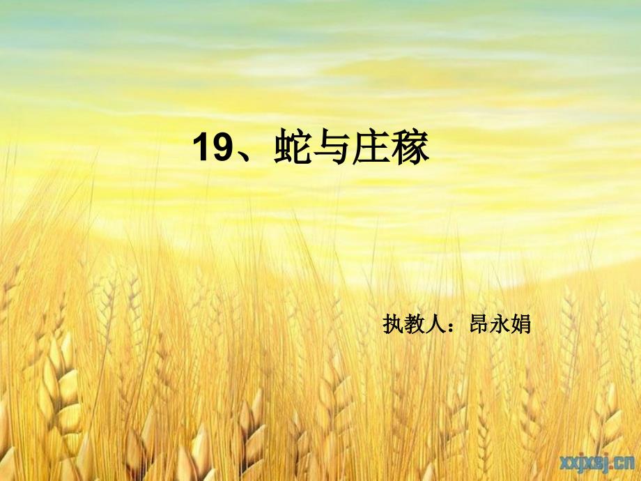 19、蛇与庄稼_第1页
