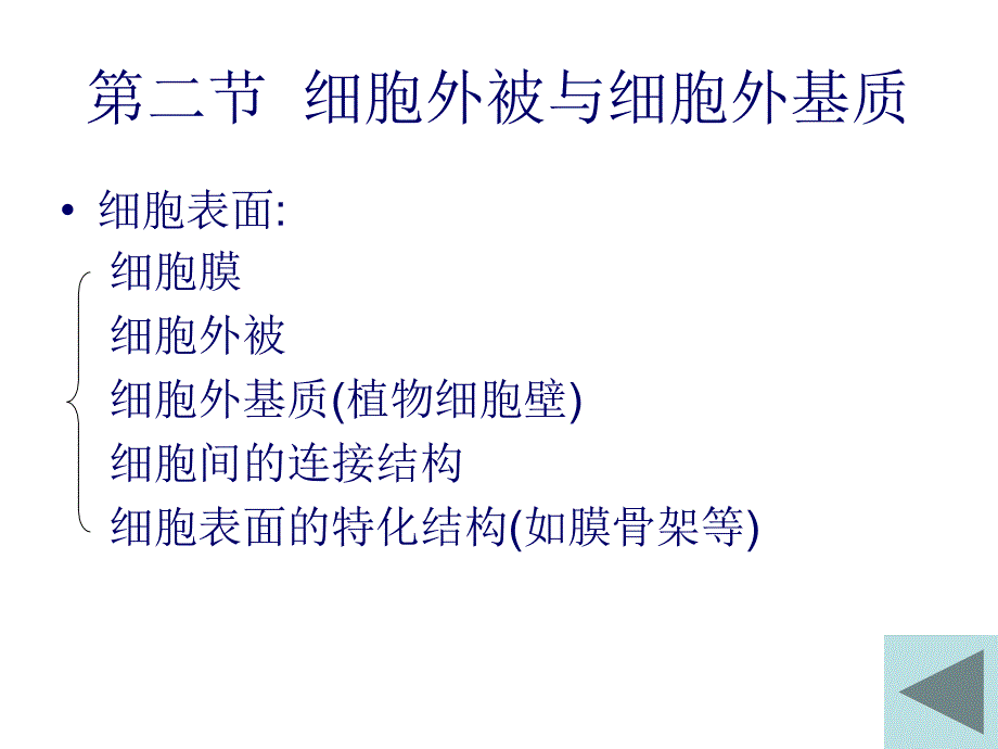 第二节--细胞外被和细胞外基课件_第1页