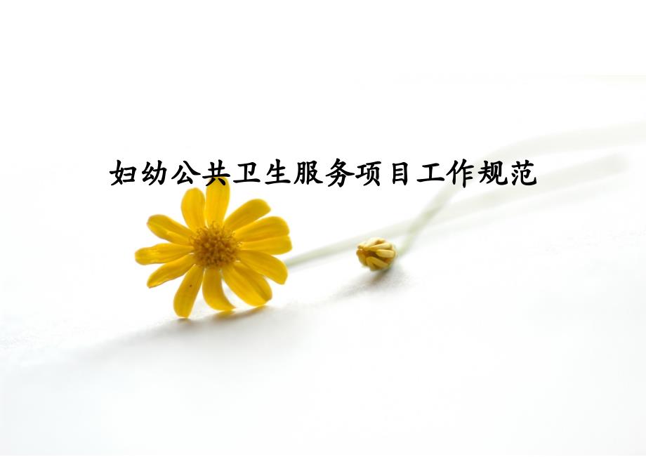 妇幼公共卫生服务项目工作规范_第1页
