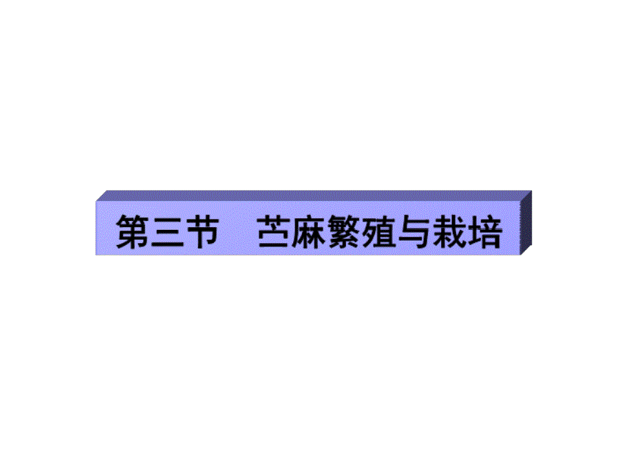 苎麻的栽培技术_第1页