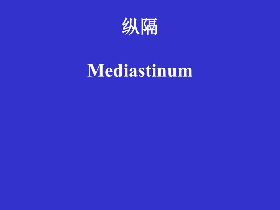 胸部解剖培训_第1页