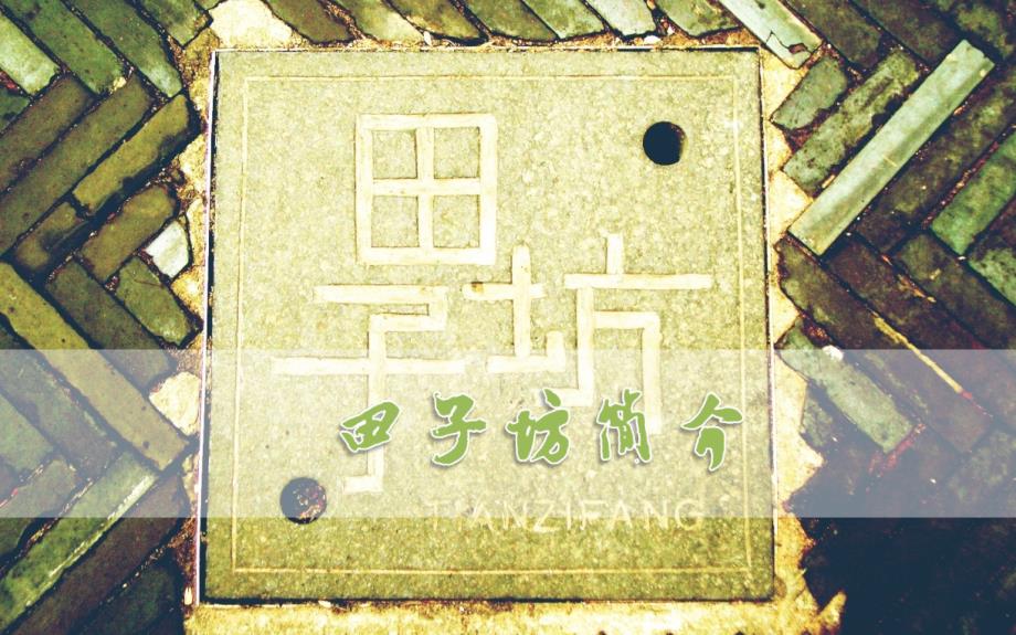 案例分析：上海田子坊(详细)课件_第1页