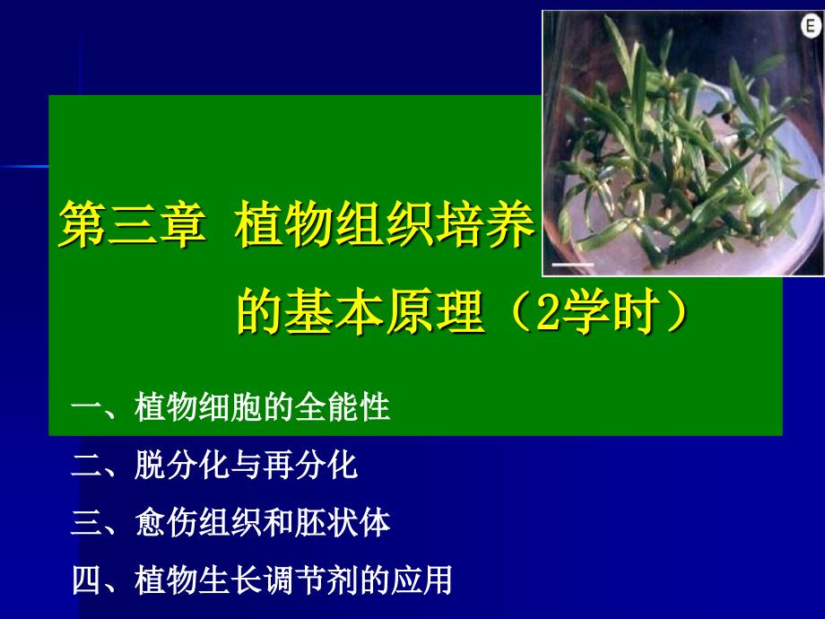 植物组织培养的基本原理6学时_第1页
